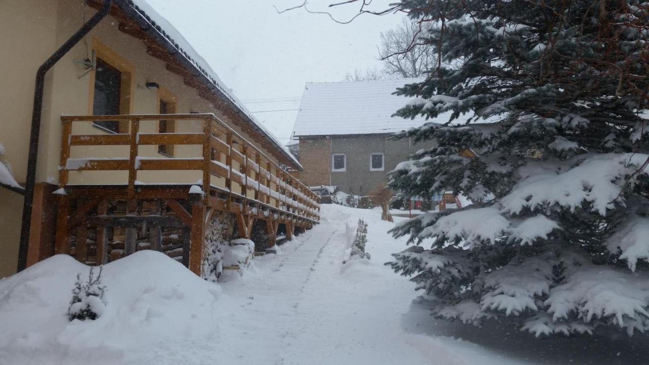 Vila Rhea Važec Exteriör bild